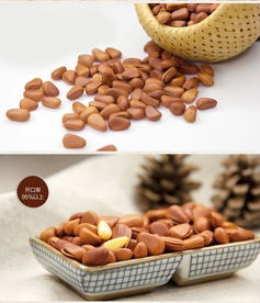 太極養生醫館產品全解析 泰興食品開口松子500g袋裝，品質、價格與食用體驗一網打盡